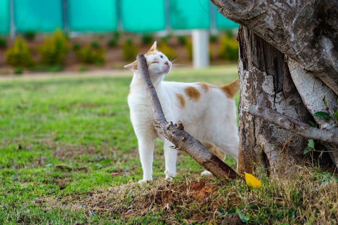 A charming photograph of a white and orange cat enjoying a moment of bliss as it rubs its face against a tree branch. Set in a green outdoor environment, this image captures the playful and relaxed behavior of a domestic feline in a natural setting.